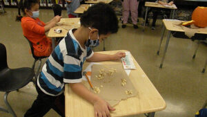 A student outs her seeds onto a napkin for counting
